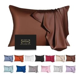 Mulberry Silk Pillowcase for Hair and Skin,Standard Size Cooling Silk Pillow Case with Hidden Zipper,Allergen Proof Dual Sides Soft Breathable Smooth Silk Pillow Cover for Women(Standard,Coffee)