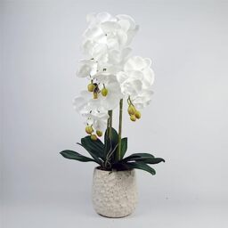 Leaf Design UK Realistic Artificial Orchid Flower Display in Pot, 60cm, 60cm White/Bubble Planter