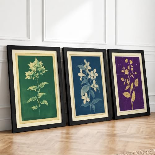Botanical Studies Botanical Set of 3 Framed Wall Art Prints A4