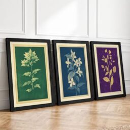 Botanical Studies Botanical Set of 3 Framed Wall Art Prints A4