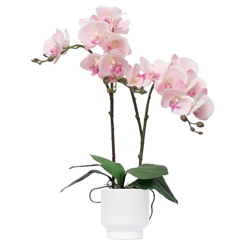 "CXGS Orchids Artificial Flowers Real Touch Fake Flowers in Ceramic Pot 20"" Pink Faux Orchid Plant Lifelike Silk Phalaenopsis for Centerpiece Hotel Home Indoor Decor"