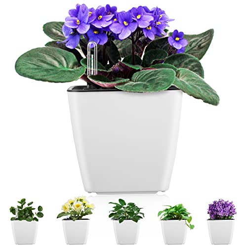 GS Garden Self Watering Planters for Indoor Plants, 5.2 Inch 6 Pack Square Plastic Plant Pots with Water Level Indicator & Drainage System for African Violet Herbs Succulents - White