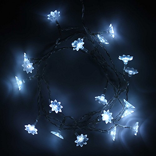 WeRChristmas 20 LED Christmas Tree Lights String with Petal Shade, White
