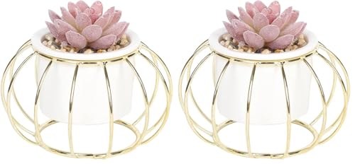Sleepdown Halo Red Succulent Artificial Faux Plant Gold Cage Stand for Home Office Bathroom Decor Indoor Decoration Aesthetics, Small (Pack of 2)