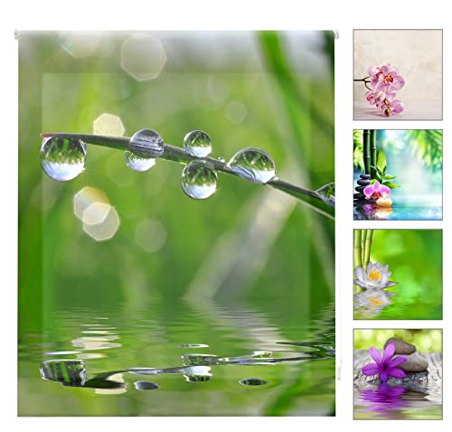 Blindecor W-Z-01287 – Translucent Roller Blind with Digital Print, 110 x 180cm, Multi-Coloured