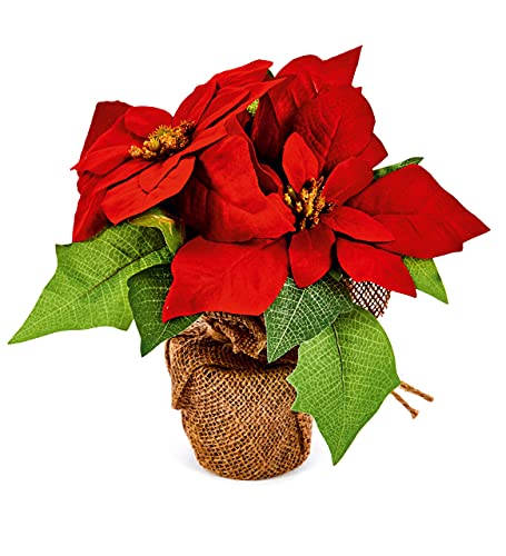 Premier 24cm Artificial Poinsettia in Hessian Pot