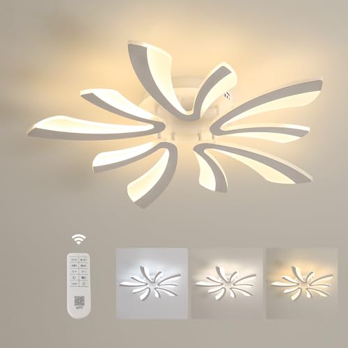 Comely Ceiling Light Dimmable, LED Ceiling Lighting 48W 5400LM, 3000K-6500K, Acrylic Modern Lighting Fixture with Remote Control for Living Room Bedroom, Dia70cm