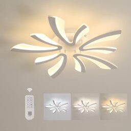Comely Ceiling Light Dimmable, LED Ceiling Lighting 48W 5400LM, 3000K-6500K, Acrylic Modern Lighting Fixture with Remote Control for Living Room Bedroom, Dia70cm