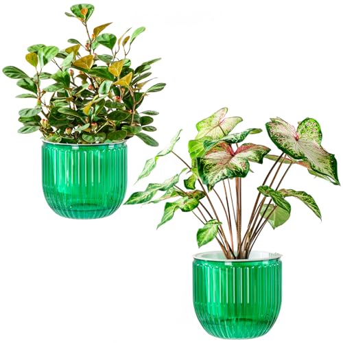 Melphoe Self Watering Pots for Indoor Plants Planter, 6.5 Inch 2 Pack Planters Self Watering Plant Pots for Flower, Houseplants, Succulent, African Violets and Cactus with Drainage