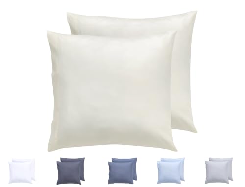 Todocama Set of 2 Extra Soft Hypoallergenic Microfibre Pillow Cases