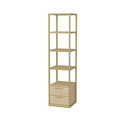 DECOROTIKA - Robins 160 cm Tall Modern Accent Ladder Style Bookcase Bookshelf Shelving Unit - Colour Options (Gold/Oak)