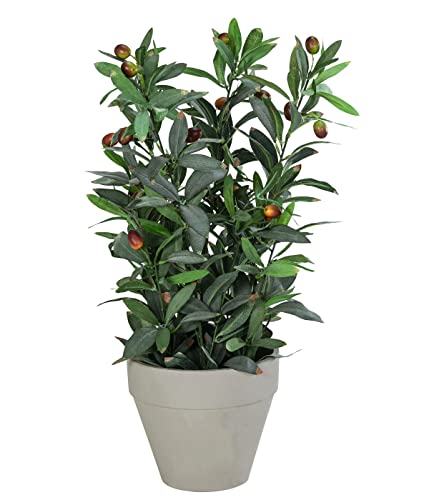 Dehner Artificial Olive Plant Approx. 20 x 20 x 42 cm Pot 7.5-12.5 cm Polyester/Metal/Paper Green/Grey
