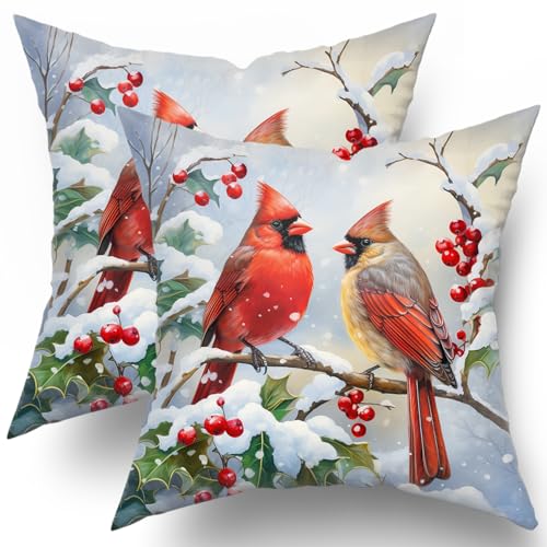 Winter Red Bird Throw Pillow Cover Set of 2 18x18 Inch Christmas Winter Pillowcase Nature Birds Scene Cushion Covers Farmhouse Pillow Protector for Home Bedroom Sofa