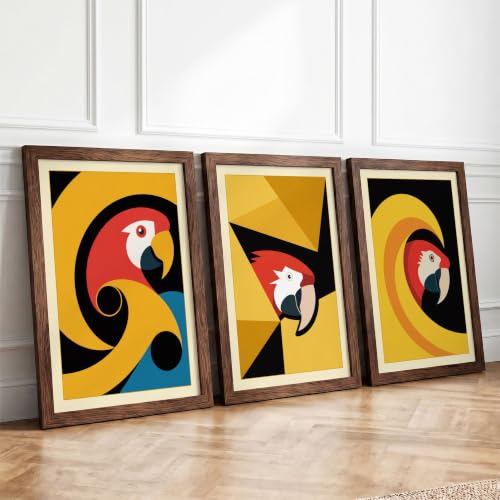 Modern Parrot Portraits Modern Set of 3 Framed Wall Art Prints A3