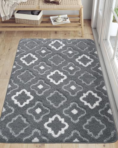DEXI Door Mats Indoor, Durable Absorbent Non Slip Front Door Rugs