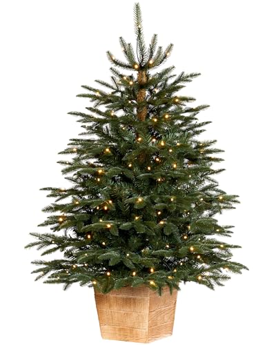 Pre-Lit Potted Alaskan Fir Christmas Tree, 150 Warm White LED Lights
