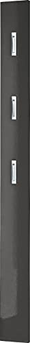 Germania wardrobe panel 3255-547, with THREE fold-out metal clothes hooks, in high-gloss anthracite, 15 x 170 x 3 cm (WxHxD)