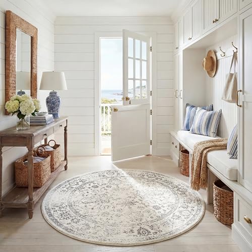 SAFAVIEH Distressed Rug for Living Room, Dining Room, Bedroom - Adirondack Collection, Short Pile, in Ivory and Silver, 160 x 160 cm