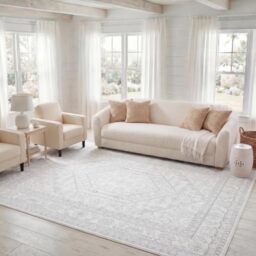 SAFAVIEH Traditional Rug for Living Room, Dining Room, Bedroom - Adirondack Collection, Short Pile, in Ivory and Silver, 240 X 300 cm
