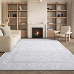 SAFAVIEH Traditional Rug for Living Room, Dining Room, Bedroom - Adirondack Collection, Short Pile, in Ivory and Silver, 240 X 300 cm