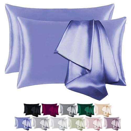 BEIJOEY 100% Mulberry Silk Pillowcase for Hair and Skin,with Hidden Zipper,Both Sides 19 Momme 600 Thread Count Natural Silk Pillow Cover,Soft Breathable Smooth (Gray Blue, Queen 20''x30'')