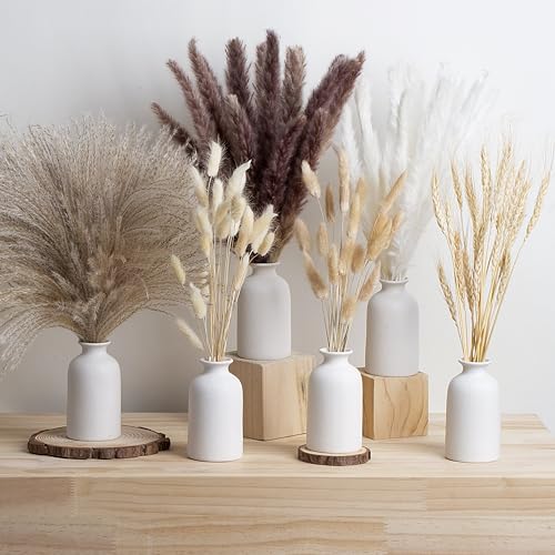 Parlamain Set Of 6 White Ceramic Vase With 100 PCS Dried Pampas Grass, Boho Aesthetic Small Vases For Wedding Centerpieces Living Room Decorations, Dining Table Decor, Entryway, Shelf By Amazon