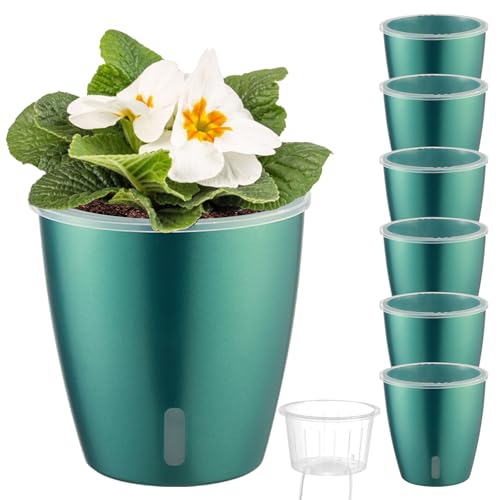6-Pack 5 Inch Self-Watering Pots for Indoor Plants With Indicator - Transparent Wick Pot for Orchids, Small African Violet Planter, Self-Watering Container