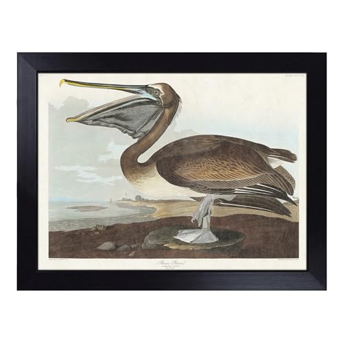 Lap Tray with Bean Bag Cushion, A Brown Pelican By Audubon - Handmade in the UK, Raised Wooden Edge, Padded Cushion, Heat-Resistant Wipe-Clean Surface, for Meals, Laptops and Crafts