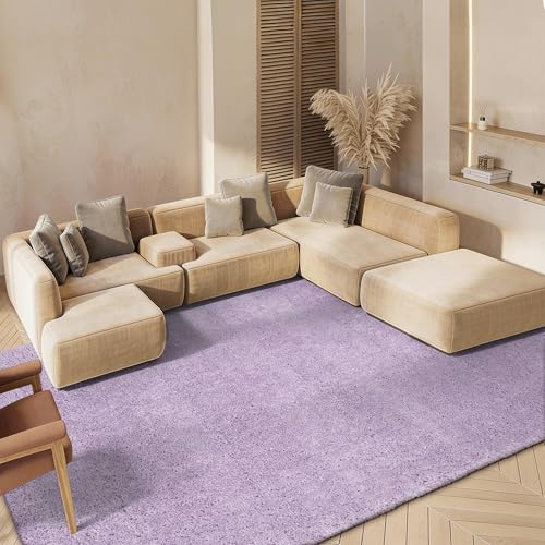 SAFAVIEH Area Rug 8x10 - August Shag Collection - Large - Lilac, Solid Pattern, Non-Shedding & Easy Cleaning, Plush Thick Pile, Ideal for Living Room, Bedroom, Dining Space (AUG900V)