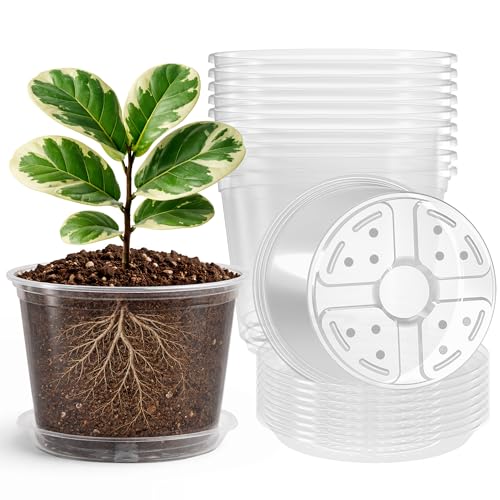 Bluepro 8 Packs 8 Inch Reinforced Large Clear Nursery Pots with Sacuers, Transparent Plastic Plant Pot Seedling Planter with Drainage Holes for Vegetable Propagation, Root Cutting, Seed Starting
