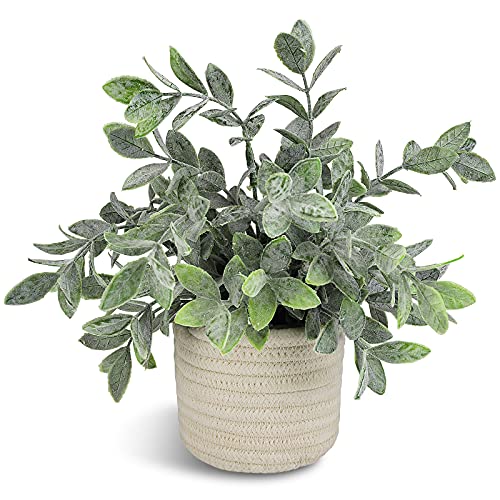 Hopewood Artificial Plant Indoor Potted Small Fake Plant Decorative Faux Plant for Home Bathroom Farmhouse Desk Shelf Decor(9.8inch)
