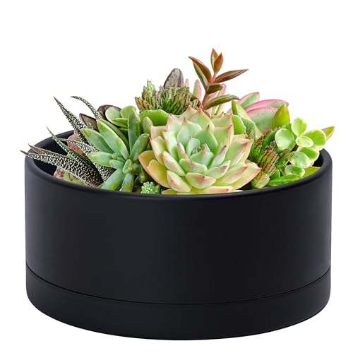 D'vine Dev 10 Inch Plastic Shallow Planter, Large Round Succulent Plant Pot with Drainage Hole and Sauce, Decorative Bonsai Pot for Indoor Plants, Black, 76-A-M-2