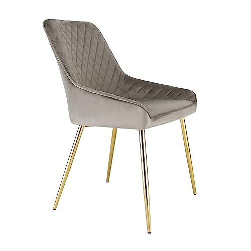 RayGar Hamilton Accent Dining Chair with High Back Armchair With Metal Tube Legs (Grey)