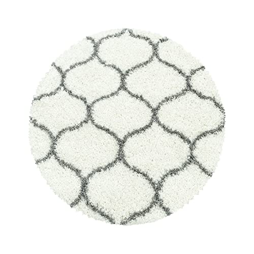 Giantore High Pile Rug Long Pile Living Room Shaggy Bedroom
