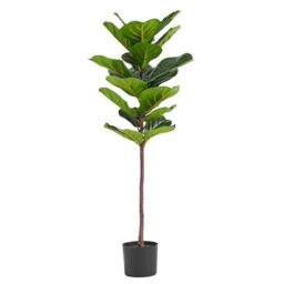 Artificial Office Plants