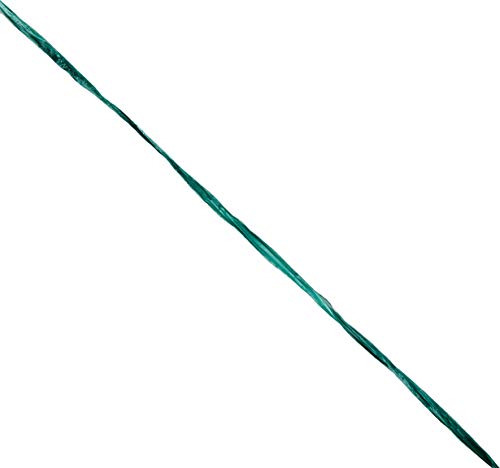 Mopec S75.22 Rafia Rayon Shiny Lace Mat, Green, 0.4 mm x 100 m, One Size