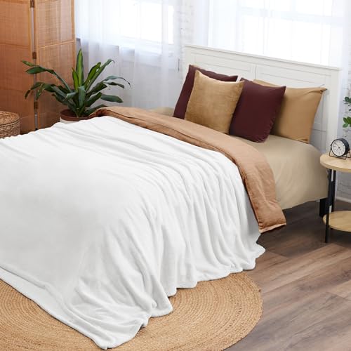 Northwest Ashford Home Cozy Warmwell Blanket Winter White Queen Size 90 x 90 inches