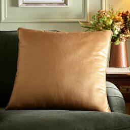 Appletree Harlan Gold Velvet Cushion – 55 x 55cm – Soft Touch Velvet with Piped Edge – Cushion Cover & Filling Included – Large Ochre Decorative Cushion for Sofa or Bedroom