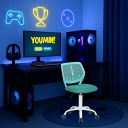FurnitureR Ergonomic Computer Gaming Chair Home Entertainment Video and Computer Game,E-Sports Leisure Time Play for Teen Boy Girl,Height Adjustable with Lumbar Support,360 Swivel Caster,Turquoise