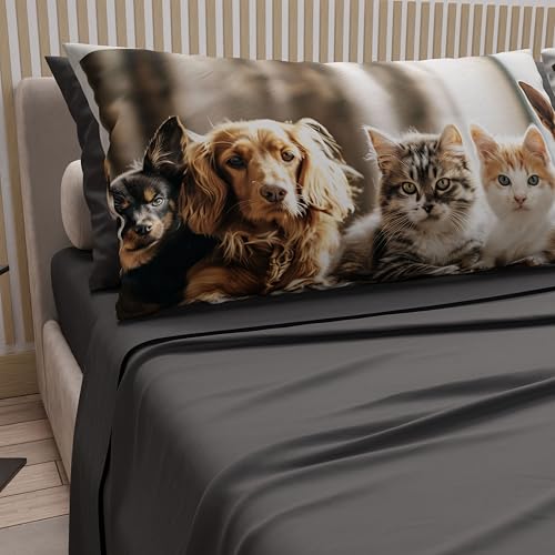 PETTI Artigiani Italiani - Animal Bed Linen with Cats and Dogs in Cotton with Pillowcases in Digital Print, Pizza and Half Sheet, Dark Grey Double Bed Set, 100% Made in Italy