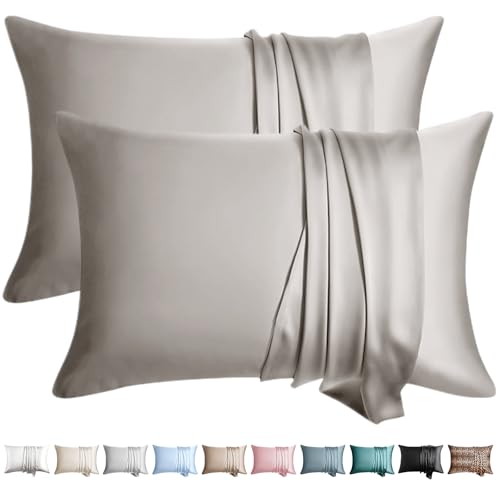 WLOSJ 100% Silk Pillow Cases 2 Pack King Size Mulberry Silk Pillowcase for Hair and Skin Set of 2 Highest Grade 6A Silk Soft Breathable Cooling with Hidden Zipper, Grey