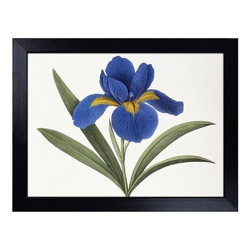 Lap Tray with Bean Bag Cushion, Iris Flower - Handmade in the UK, Raised Wooden Edge, Padded Cushion, Heat-Resistant Wipe-Clean Surface, for Meals, Laptops and Crafts
