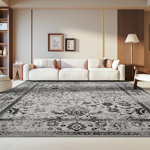 SAFAVIEH Distressed Rug for Living Room, Dining Room, Bedroom - Adirondack Collection, Short Pile, in Grey and Black, 240 X 300 cm