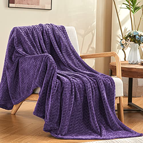 inhand Fleece Throw Blanket, Super Soft Fuzzy Blanket for Couch Sofa Bed Office, Cozy Plush Fleece Blanket Throw Size, Washable Lightweight Flannel Blankets Throw for All Season(50???x60???,Purple)