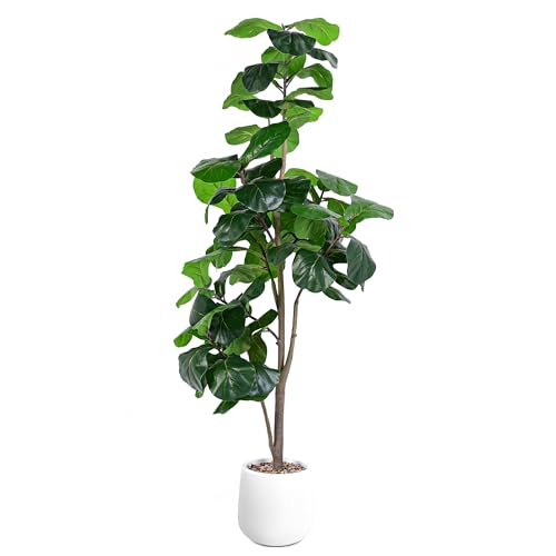 Jocoevol Artificial Fiddle Leaf Tree, 183CM Faux Plant Fake Ficus Lyrata  Trees with White Planter, Artificial Fig Trees Floor Plants for House  Office Living Room Indoor Home Decor, Housewarming Gift by Amazon |