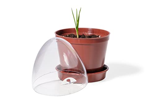 Kimmel Propagation Pots Set of 6, Without Storage Box, 6 er Set