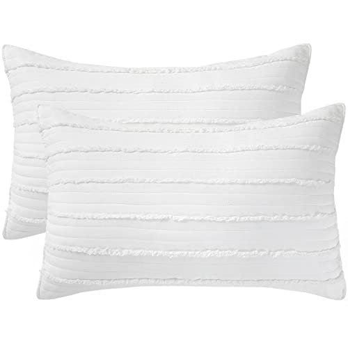 BOSOWOS Queen Size Pillow Protectors Set of 2,Soft Breathable 20 x 30 Inches Pillow Covers Encasement,Microfiber Pillowcases for Easy Care,White