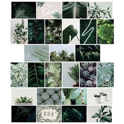 "WALPLUS 27 Stickers of 20x30cm(7.8x11.8"") Green Aesthetic Adhesive Wall Mural Collage Set Mural Art Vinyl Nursery Decorations for Living Room Kids Bedroom Decors Home Removable DIY Wall Decals Hotels"