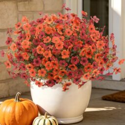 Artificial Fall Flowers for Decoration Fake Flowers Outdoor Artificial Plants, 12 Bundles Faux Mums Autumn Plastic Flower UV Resistant for Porch Patio Home Yard Garden Window Box Pot Planters