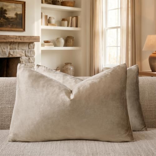 GIGIZAZA Khaki Taupe Velvet Decorative Throw Pillow Covers for Sofa Bed 2 Pack Soft Cushion Cover